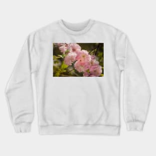 Flowering Almond Crewneck Sweatshirt